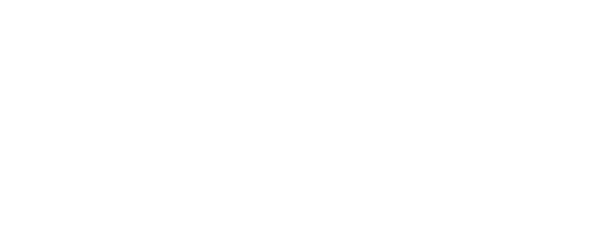 VIP Transfer Pro